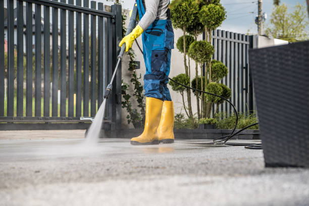 Best Gutter Cleaning and Brightening in Newark, NY
